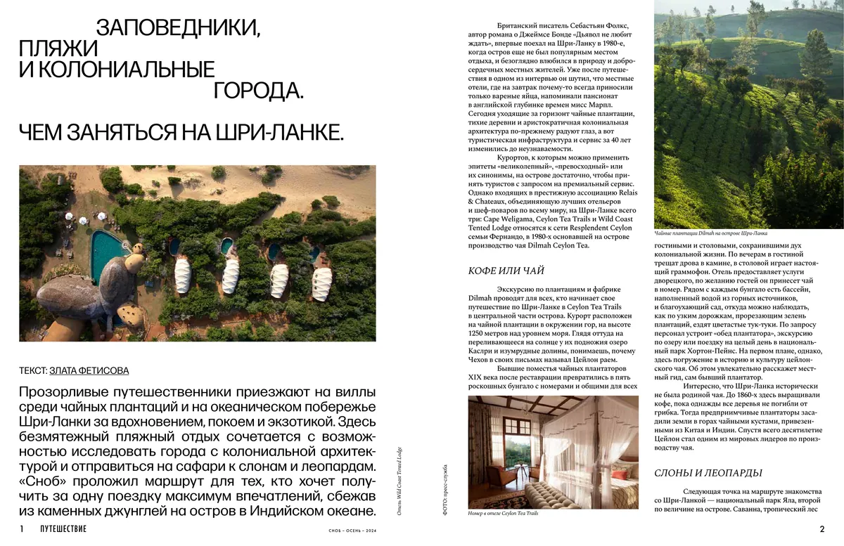 Чем заняться на Шри-Ланке